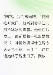老婆给富二代生孩子三年后求复合(明晶看书小说)小说最新章节-暗夜阅读网