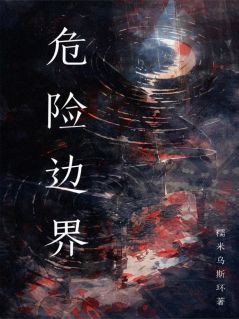 危险边界小说最后结局，秦风小苏百度贴吧小说全文免费-暗夜阅读网