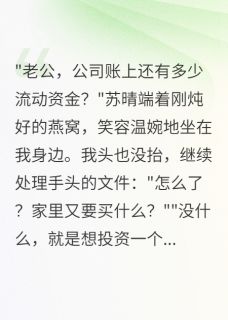 抖音小说妻子转走三千万给前男友我离婚了苏晴陈志远全文txt-暗夜阅读网