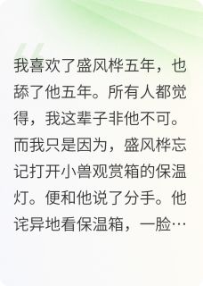 爆款小说舔了男友五年,我选择断崖式分手-主角盛风桦桂修远周周在线阅读