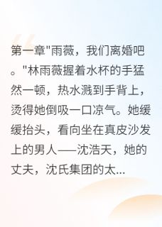 装穷嫁豪门三年被小三赶出门小说林雨薇沈浩天苏晓雯免费阅读