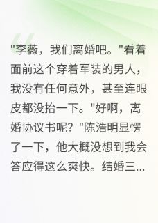 首长夫人，离婚协议书我签了陈浩苏琳免费全章节目录阅读-暗夜阅读网