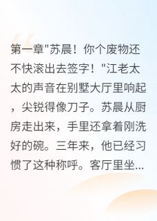 入赘三年后我掀翻千亿豪门苏晨江雨薇免费全章节目录阅读-暗夜阅读网