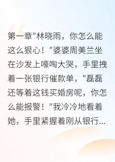 最完整版婆婆偷用我身份贷款八百万热门连载小说-暗夜阅读网