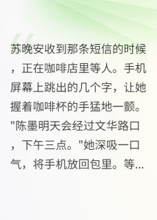 我本想毁掉他却嫁给了他小说(完结版)-陈墨苏浅浅苏晚安在线阅读