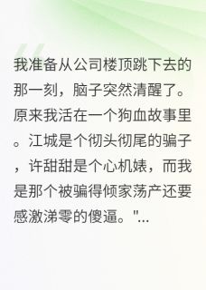 被骗60万后我成了维权女王江城陆风许甜甜免费全章节目录阅读