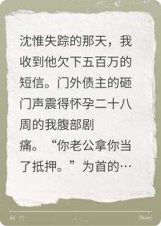 债主他追上门沈惟章云歧小说全文-债主他追上门小说