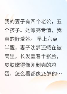 四个老公五个孩子小说主角是沈梦江水陆丰全文完整版阅读