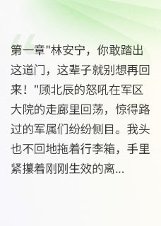 离婚后军官前夫送我千万求复合顾北辰安宁苏雯-锦字流年小说