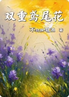 双重鸢尾花[抖音]小说-沈承苏晚唐棠无删减阅读-暗夜阅读网