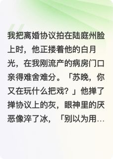 全章节小说前妻跑了后，陆总他疯了日落匿于孤岛最新阅读