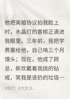 快手穷小子成霸总，他跟新欢逼我离婚小说全本章节大结局-暗夜阅读网