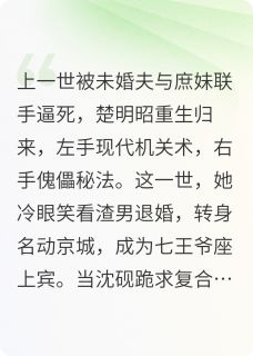 窗外的雪1002写的小说退婚后，我成了大宋第一傀儡师萧云璟楚清瑶全文阅读-暗夜阅读网