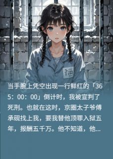 血色数字在跳，他不知她在赌命小说(完结)-傅承砚沈念无删减阅读