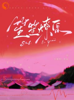 （全本）笙笙燎原主角慕丛笙辛炎初全文目录畅读