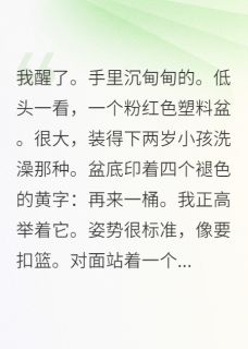 半吨老师最新小说我靠沙雕扭转情节顾承风林晚晚在线试读-暗夜阅读网