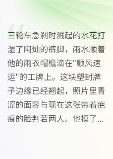 重生之我在西安送快递[抖音]小说-阿灿小娜无删减阅读