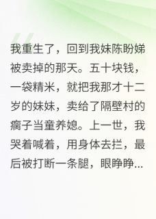重生八零：我亲手卖妹成首富王瘸子陈家宝盼娣-辑魔上校小说-暗夜阅读网