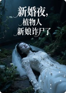 抖音爆款新婚夜，植物人新娘诈尸了完整小说（全文阅读）-暗夜阅读网
