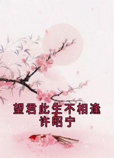 许昭宁赵璟望君此生不相逢许昭宁小说完整版