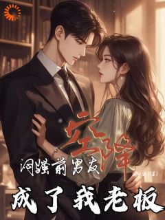 精品小说第1章空降总裁全文目录畅读