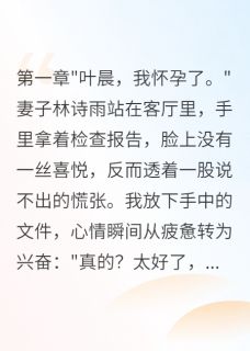 精彩小说林诗雨徐浩宇叶晨老婆为前男友怀孕八个月我要离婚全文目录畅读-暗夜阅读网