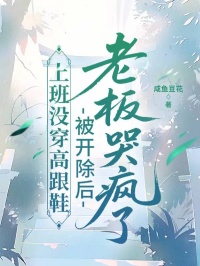 上班没穿高跟鞋，被开除后老板哭疯了最新章节免费阅读by咸鱼豆花无广告小说-暗夜阅读网