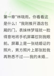 未婚夫娶别人三年我拿回五百万江承轩林梦瑶大结局在线阅读-暗夜阅读网
