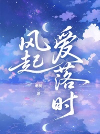 (精品)风起爱落时小说
