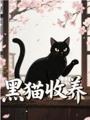 陈诚林解晴主角抖音小说黑猫收养在线阅读