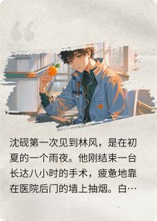 沈砚林风完整未删减版在线阅读 沈砚林风结局