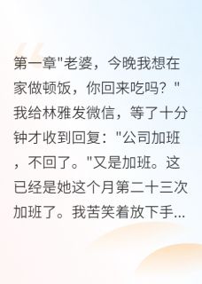 私藏读物妻子瞒着我再婚三年林雅赵文轩完结版免费阅读-暗夜阅读网