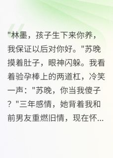 抖音小说【苏晚江暖林墨】全集免费版在线阅读-暗夜阅读网