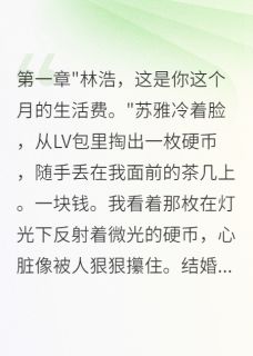 老婆转三亿给小白脸，我身家千亿苏雅苏明华林浩小说全文阅读-暗夜阅读网
