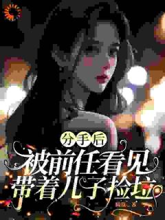 小说分手后，被前任看见带着儿子捡垃主角为阮婉何越免费阅读