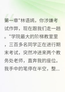 同学陷害我作弊败露，网暴求原谅苏晴晴林语嫣全章节完结版在线阅读-暗夜阅读网