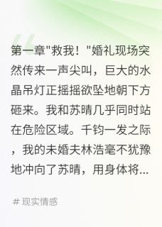 未婚夫为救白月光推开我后悔已晚免费阅读全文，主角林浩苏晴小说-暗夜阅读网