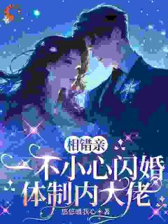 （全集-免费）相错亲，一不小心闪婚体制内大佬完本小说_沈襄周圣安全文免费阅读