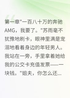 老婆给表弟买车一百八十万小说(完结版)-苏雨李俊林浩在线阅读-暗夜阅读网