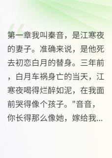 我藏起了老公的小三江寒夜音音白月大结局小说全章节阅读-暗夜阅读网