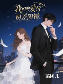 【热文】我们的爱情阴差阳错主角孟晏尘林珊小说全集免费阅读