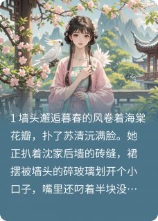 砚边沅声在线全文阅读-主人公沈砚辞苏清沅小说