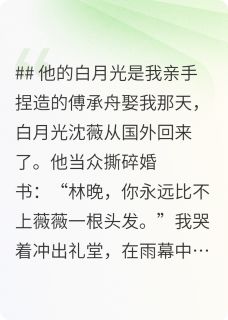 百度贴吧小说他的白月光是我亲手捏造的，主角傅承舟傅承洲沈薇全文免费