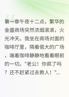 商场大火我冷眼旁观林婉儿张建陈浩全本小说（商场大火我冷眼旁观）全章节小说目录阅读