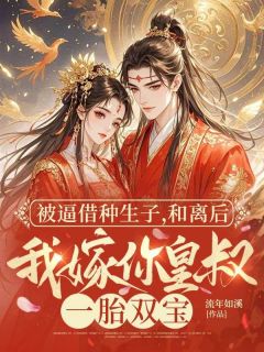 被逼借种生子，和离后我嫁你皇叔一胎双宝小说百度云完整章节列表免费阅读