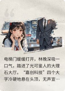 重逢在甲方，总裁的屏保是我林晚沈聿时小说_重逢在甲方，总裁的屏保是我完结版阅读