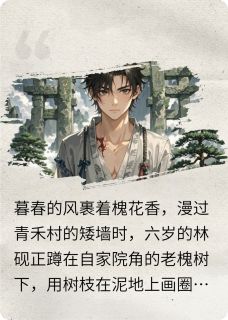 青禾十年灯林砚玄阴子无广告在线阅读