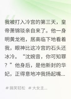 萧锦琰沈婉音陛下，娘娘在冷宫开直播呢全文(萧锦琰沈婉音)章节免费阅读