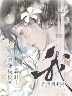季知渝岑羽全文最新章节正版小说免费阅读