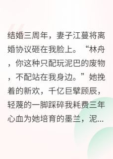刚离婚，前妻哭求我救她帝国！章节目录小说-江蔓林舟苏晴免费阅读全文-暗夜阅读网